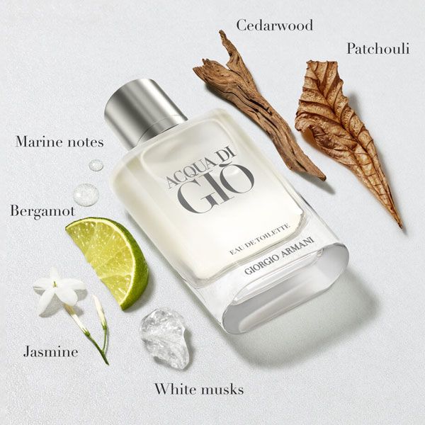 Armani Acqua di Gio Homme Apa de Toaleta Reincarcabil pentru Barbati Note Olfactive
