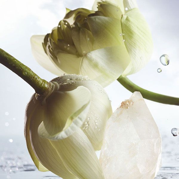 Bvlgari Man Rain Essence Apa de Parfum 60ml pentru Barbati Note Olfactive 1