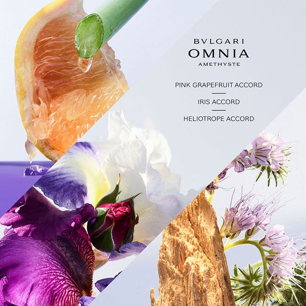 Bvlgari Omnia Amethyste Apa de Toaleta pentru Femei Note Olfactive