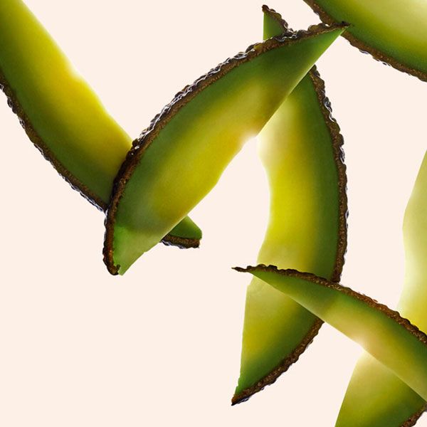 Clarins Crema de Noapte Extra-Firming Ten Uscat 50ml ingrediente 3