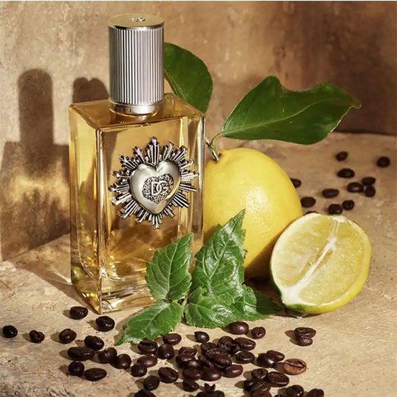 D&G Devotion Pour Homme Apa de Parfum 100ml ingrediente