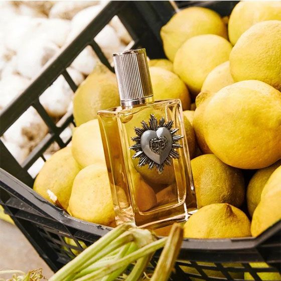 D&G Devotion Pour Homme Apa de Parfum 50ml ingrediente 2