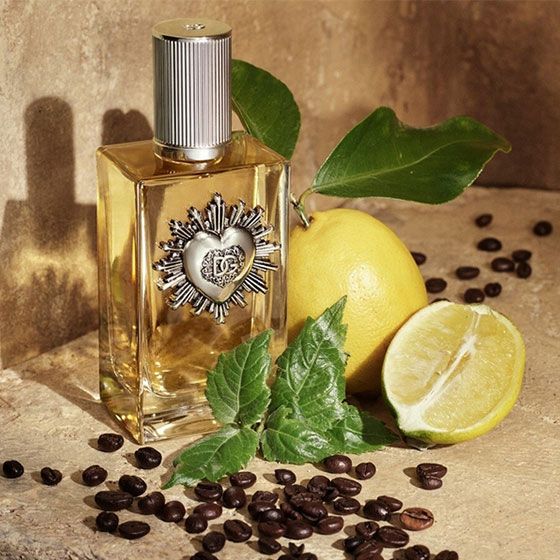 D&G Devotion Pour Homme Apa de Parfum 50ml ingrediente