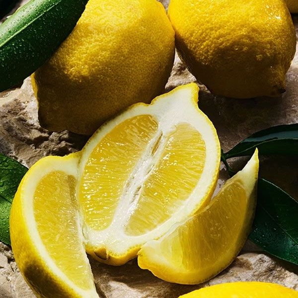 Dolce&Gabbana Light Blue pour Femme Apa de Parfum lamaie