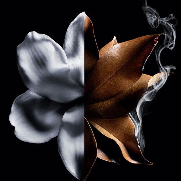 Givenchy L'Interdit Absolu Apa de Parfum 80ml pentru femei note olfactive 2