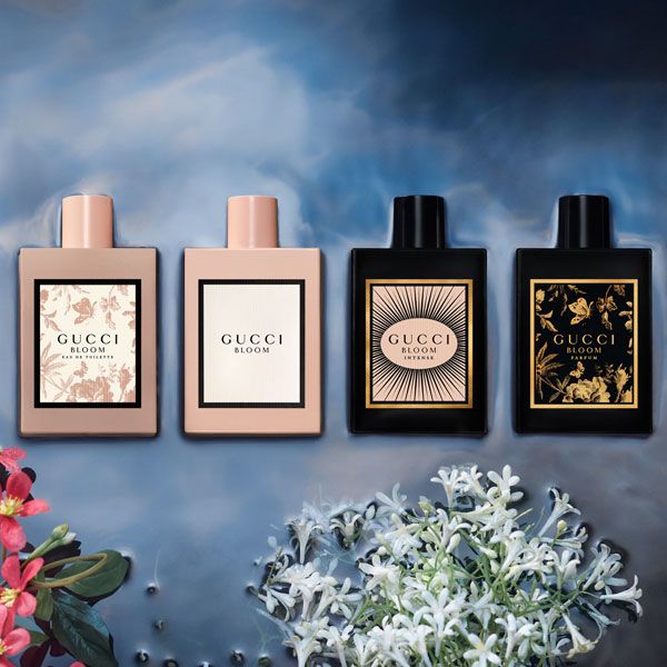 Gucci Bloom Parfum 50ml colectie de produse