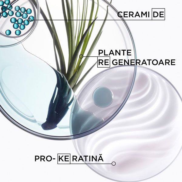Kerastase Resistance Bain Force Architecte Sampon Fortifiant pentru Par Deteriorat 250ml Ingrediente Active