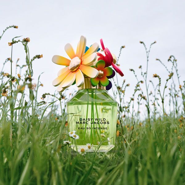 Marc Jacobs Daisy Wild Eau So Intense Apa de Parfum pentru Femei Prezentare