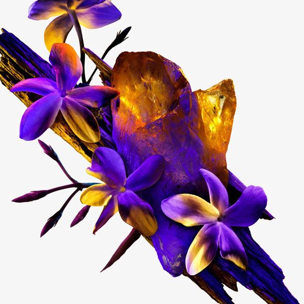 Mugler Alien Apa de Parfum Reincarcabila 90ml pentru femei note olfactive