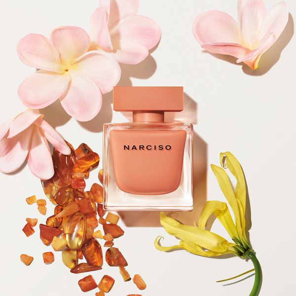 Narciso Rodriguez Narciso Ambree Apa de Parfum pentru femei note olfactive