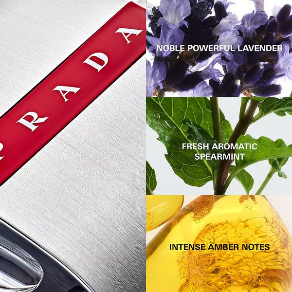 Prada Luna Rossa Apa de Toaleta pentru Barbati Note Olfactive