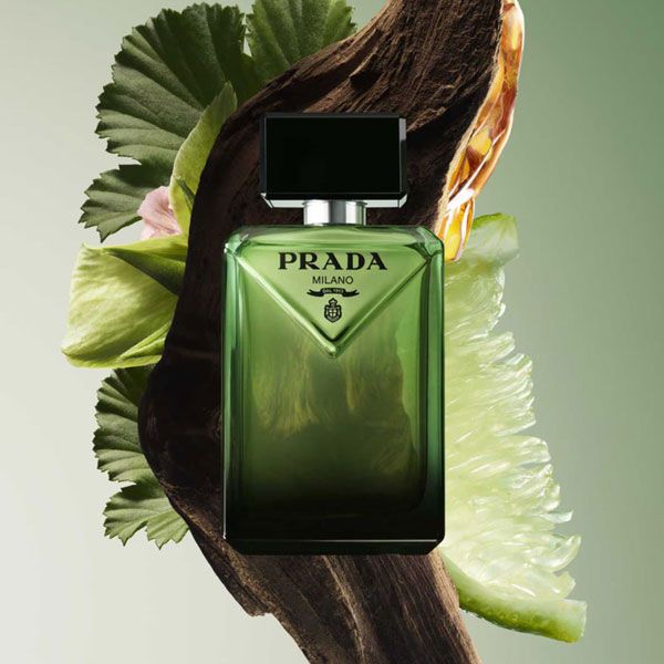Prada Paradigme Apa de Parfum pentru Barbati 50ml Reincarcabil Note Olfactive
