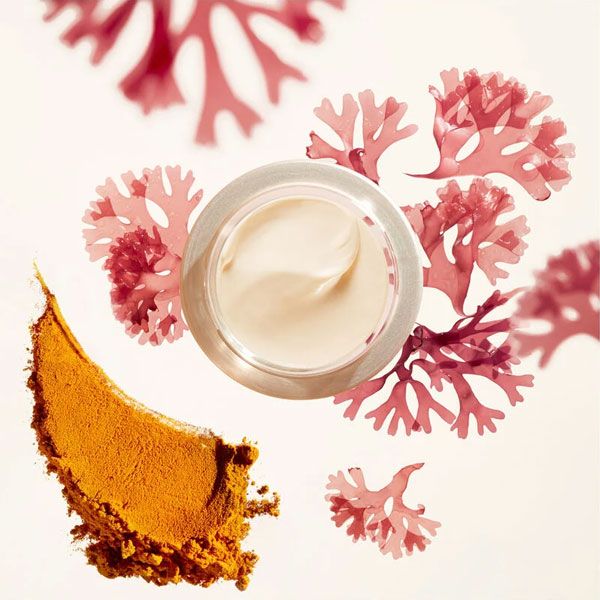 Shiseido Benefiance Wrinkle Smoothing SPF25 Crema de Zi Antirid 50ml ingrediente