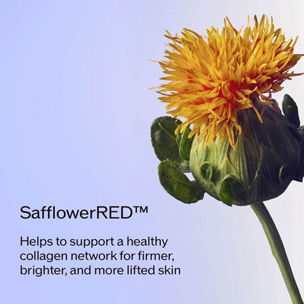 Shiseido Vital Perfection Uplifting and Firming Day Cream SPF30 Crema de Zi Anti-imbatranire 50ml ingrediente