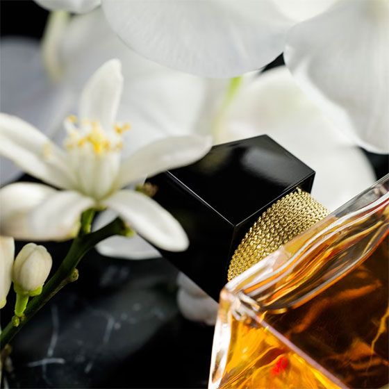 Yves Saint Laurent Libre Intense Apa de Parfum 1