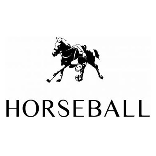 Horseball